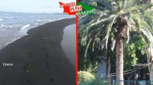 Грузия или Абхазия!  Сравниваем природу. Уреки и Цандрипш