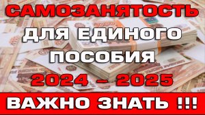 Самозанятость для Единого пособия 2024 - 2025 Что нужно знать