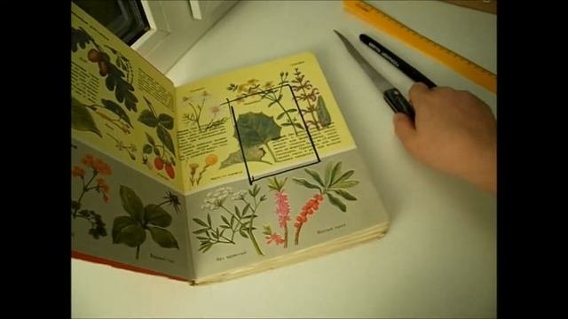 Тайник в книге.