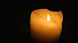 Два дня с CANON EOS 550 D