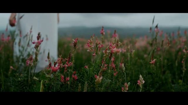 Рекламный Ролик Smart&Rich: Новый Элитный Травяной Чай!
