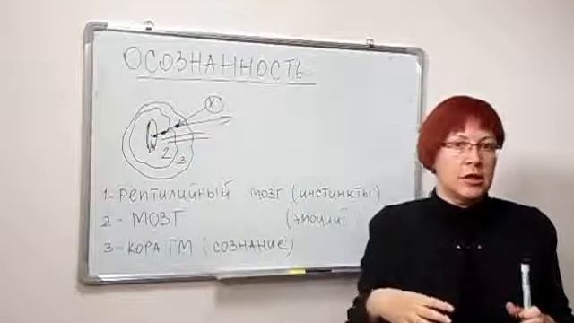 Т Бабанская Работа с Родом Осознанность- главное условие для работы смотреть онлайн