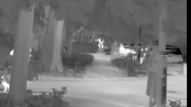 монокуляр Dali S230-37 смотреть онлайн