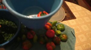 Перец фаршированный зеленью
