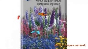 Смесь высокий Высоких многолетников Цветочный карнавал ? обзор: как сажать, семена смеси