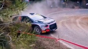 Rally ⛎ WRC,срезая повороты