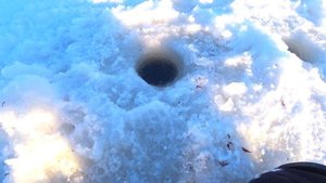 ЗИМНЯЯ РЫБАЛКА НА ЛЕЩА НА ИВАНЬКОВСКОМ ВОДОХРАНИЛИЩЕ!