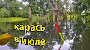 Рыбалка на карася в июле 2022 на поплавок