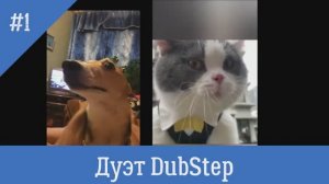 Поющие животные дуэт Dubstep.mp4