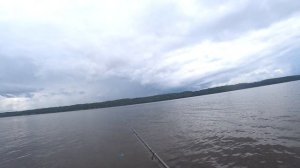 Судак и Берш на Джиг  Волга Чебоксарское водохранилище