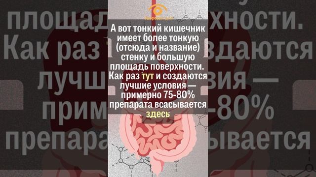 Где, как и через сколько рассасываются таблетки