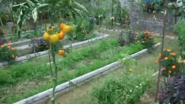 Все своими руками смотреть онлайн