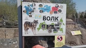 Ижевский Зоопарк, идем смотреть льва