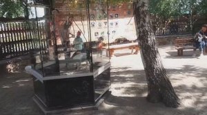 Дети и зоопарк Видео для детей Челябинск