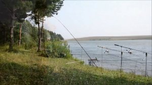 ЛОВЛЯ КАРПА НА ДИКОМ ВОДОЕМЕ В ЧУВАШИИ