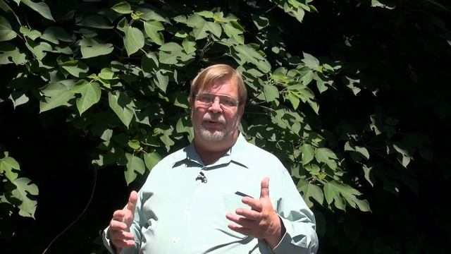 Sassafras: The Good and The Bad смотреть онлайн