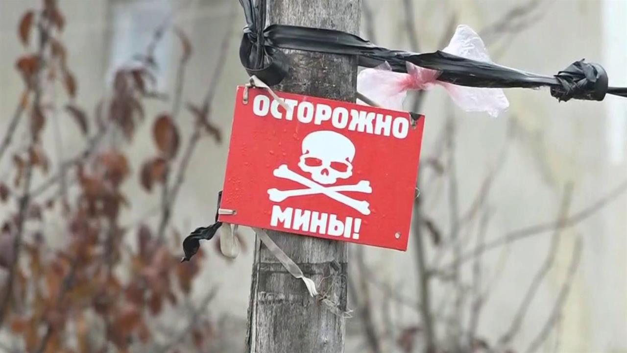 В Донбассе в районе Петровского спустя неделю после разведения сил завершено разминирование