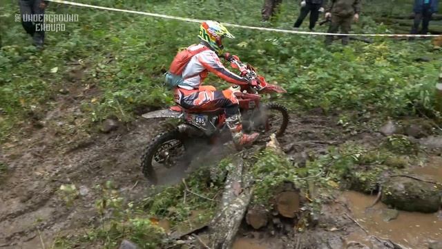 Мишка Косолапый 2021 смотреть онлайн