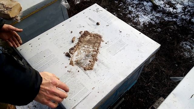 Зимовка пчел в уликах ЭППС. Отличие от деревянных уликов на глухом дне смотреть онлайн