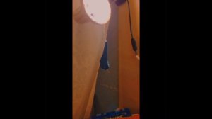 Как украсить свою room 3 идеи🌙