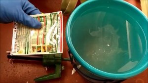 Обработка орхидей от трипсов, клещей + как провести тест на живность на орхидеях