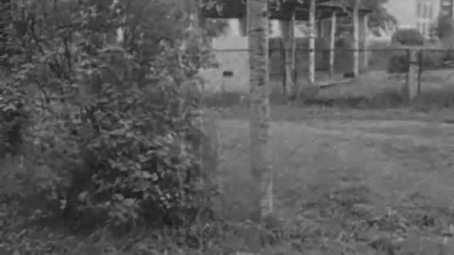 Порожденный