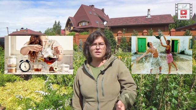 Полейте растения, пожалуйста!!! Вода.Секреты полива. Как и когда поливать растения. Часть 2