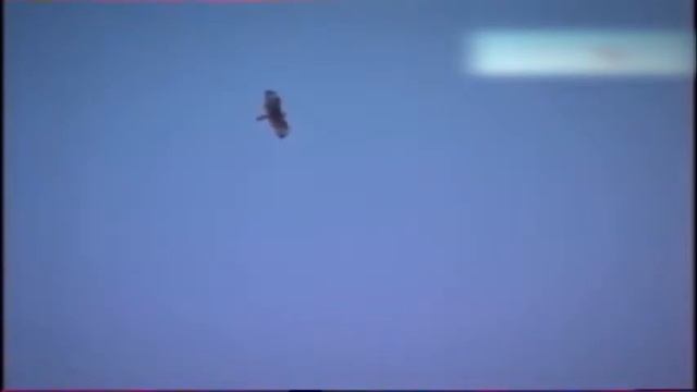 Кыргыз Өзбек университетинин медициналык колледжинен Философия сабагы боюнча видео лекция 2 смотреть онлайн