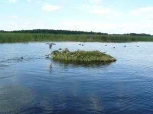 Строим лодку для охоты, лодка скрадок. №1