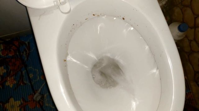 Как прочистить засор в унитазе самому без труда в домашних условиях