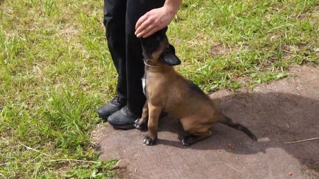 белая нитка смотреть онлайн