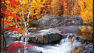 Autumn Leaves - Andy Williams