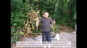рыбалка на нугушском водохранилище