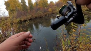 С Микроджигом поздней осенью по микроречке