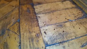 Уничтожение клопов | Обработка квартиры от клопов | Обработка холодным и горячим туманом.