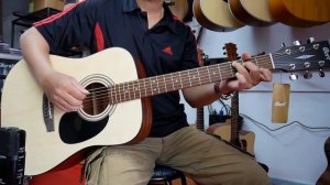 Cort AD810