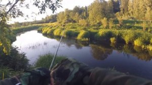 Ловля ГОЛАВЛЯ на МАЛОЙ РЕКЕ В ПОДМОСКОВЬЕ! Рыбалка на спиннинг летом! Голавль на таракана!