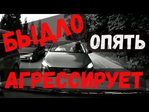 Быдло снова агрессирует! Воронеж. Выпуск №51