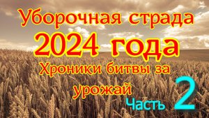 Уборочная 2024 года. 19 - 31 августа. Перешагнули середину.