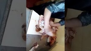 Быстрая обвалка свиной головы за три минуты