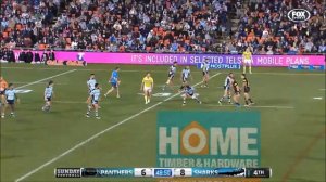 Черная кошка выбежала на поле во время матча NRL Sharks Vs Panthers