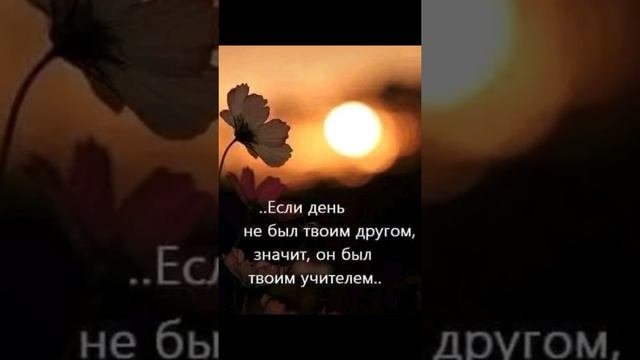 жизнь
