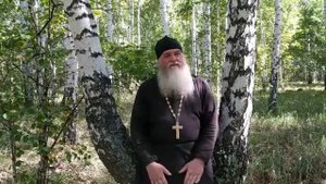 Что есть истина. Рассказы сельского батюшки