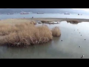 Новороссийск Живая природа