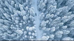 Driving Home For Christmas - Chris Rea (1 HOUR)