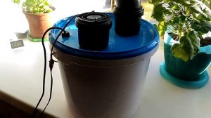 Увлажнитель или парогенератор своими руками.