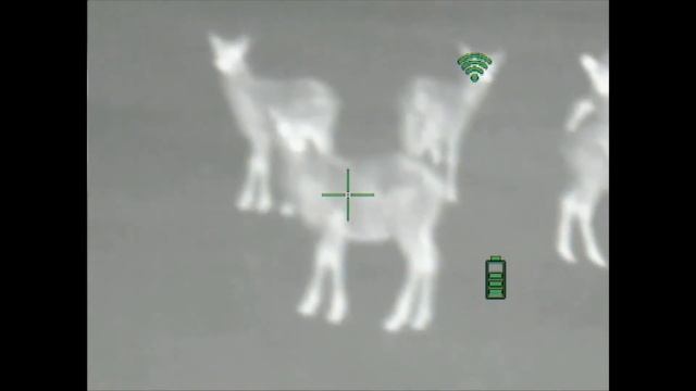 Dali RS225 384 1 смотреть онлайн