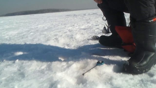 РЫБАЧЬЁ ...Ё-МОЁ!!! Отчет о рыбалке 3 марта 2015 смотреть онлайн