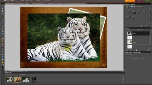 Photoshop  elements 8 on table effect tutorial