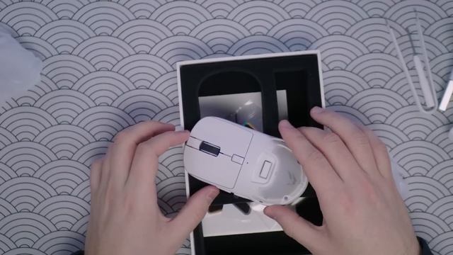 ? ВСЕ НОВИНКИ от ARDOR ТУТ! ИГРОВАЯ МЫШЬ Ulta & Phantom + МЕХАНИЧЕСКАЯ КЛАВИАТУРА Patron & Guardian